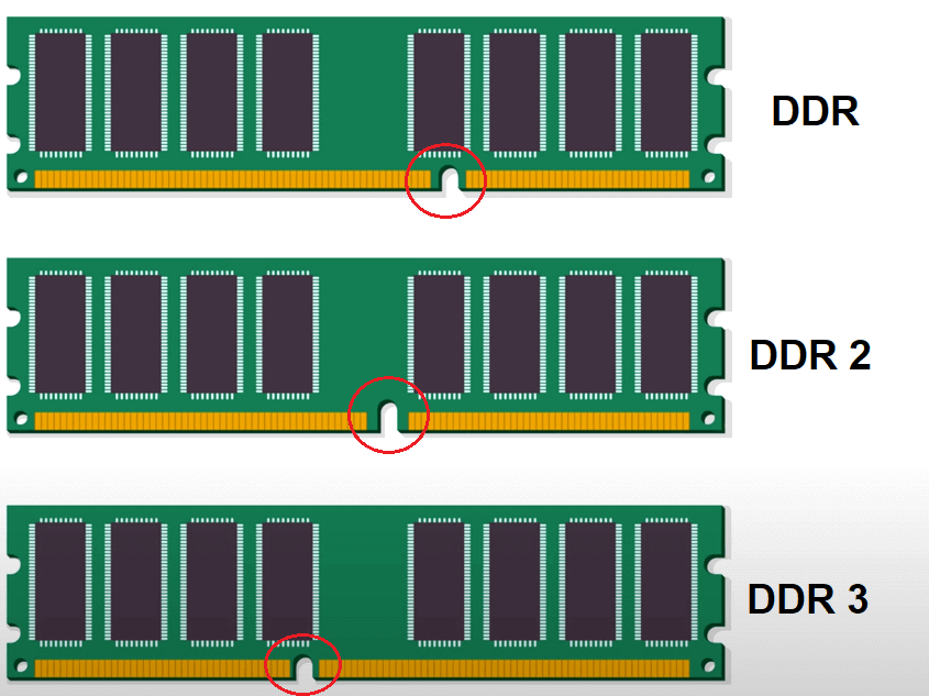 The holes in different types of memory are in different places. To find out what type of memory your motherboard slots are, just look at the slots on the motherboard.